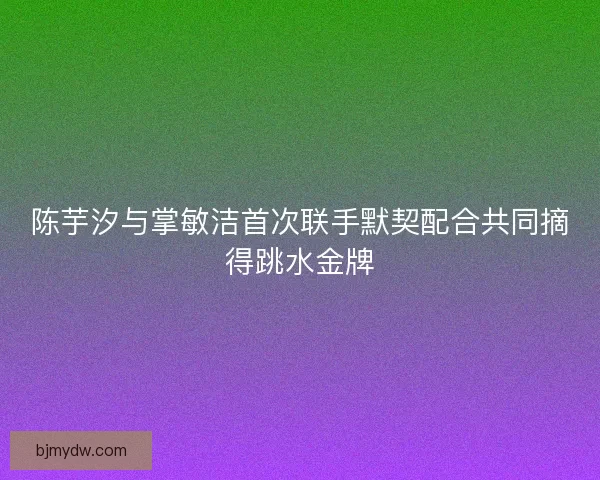 陈芋汐与掌敏洁首次联手默契配合共同摘得跳水金牌 陈芋汐与掌敏洁首次联手默契配合共同摘得跳水金牌